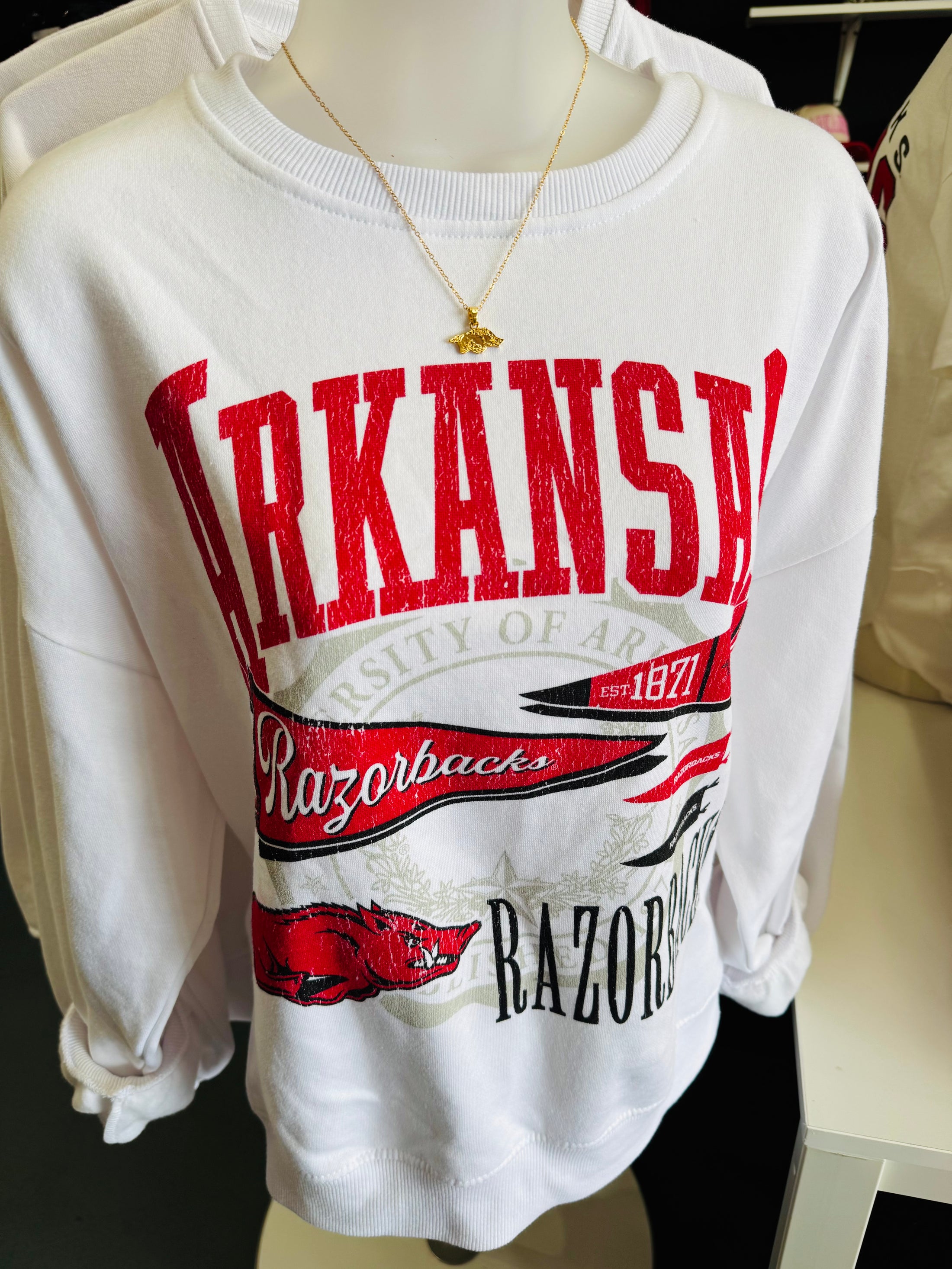 I’m a Fan Vintage Pennant Razorback Sweatshirt