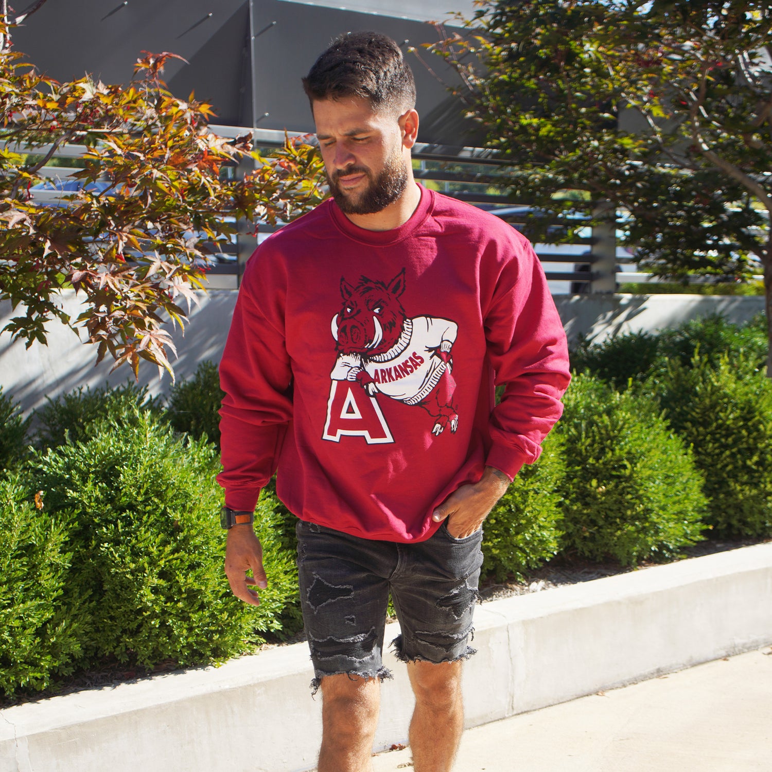 Arkansas Razorback Shopping